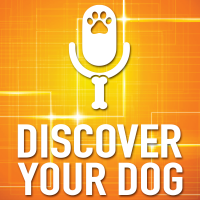 Discover Your Dog cover