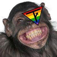 The TFM Show cover