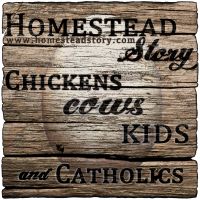 Homestead Story - Chickens, Cows, Kids, and Catholics cover