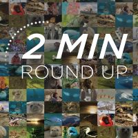 2Min News Roundup cover