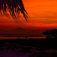 Kata Kehidupan, Kabar baik, injil Lagu－di Indonesia Bahasa (Termasuk dialek dan Etnis Bahasa)／Words of Life, Good News, Gospel Songs－In Indonesia Language, (Including dialects and Ethnic Lamguages) cover