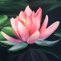 Eka Dharma Talk (道一法师圣法谈) cover