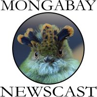 Mongabay Newscast cover