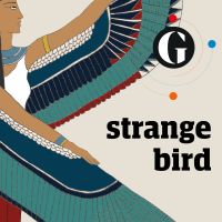 Strange Bird cover