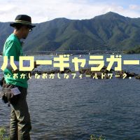 ハローギャラガー☆おかしなおかしなフィールドワーク。 cover