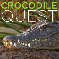 Crocodile Quest cover