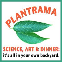 Plantrama - plants, landscapes, & bringing nature indoors cover