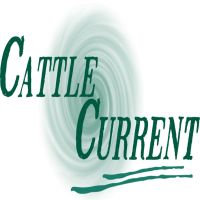 Cattle Current Market Update with Wes Ishmael cover