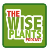The Wise Plants podcast cover