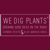 We Dig Plants cover