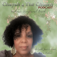CHAYAH 4 The Chosen! cover