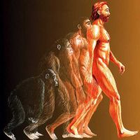 La Mentira La Evolucion-PodCasts de Chris cover