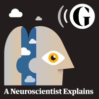 A Neuroscientist Explains cover