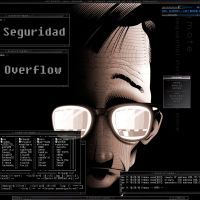Seguridad Overflow cover