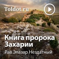 Рав Элазар Нездатный  — Книга пророка Захарии cover