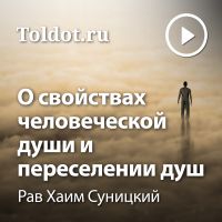 Рав Хаим Суницкий  — О свойствах человеческой души и о переселении душ cover