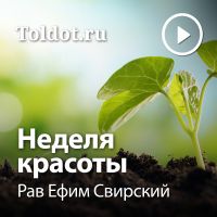 Рав Ефим Свирский  — Неделя красоты cover