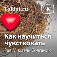 Рав Михаэль Солганик  — Как научиться чувствовать cover