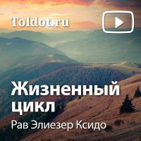 Рав Элиезер Ксидо  — Жизненный цикл cover