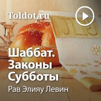 Рав Элияу Левин  — Шаббат. Законы Субботы cover