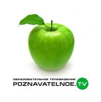 Аудиолекции от PoznavatelnoeTV. Александр Дугин cover