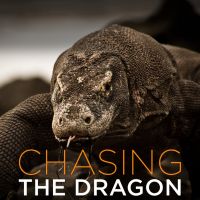 Chasing the Dragon cover