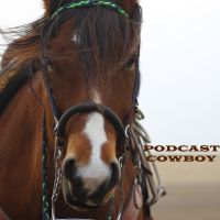 Podcast Cowboy cover