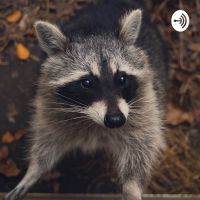 Raccoons Etc. cover