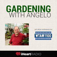 Gardening With Angelo cover