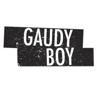 Gaudy Boy cover
