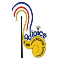 Identificaciones Radio ICE cover