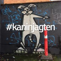 Kaninjagten cover