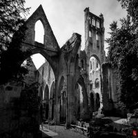 Mainz Murders cover