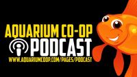 Real Fish Talk by Aquarium Co-Op cover