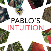 Pablo’s Intuition: Inspirational excerpts from a young Spaniard’s spiritual awakening cover