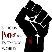 S.P.E.W. - Serious Potter in an Everyday World cover