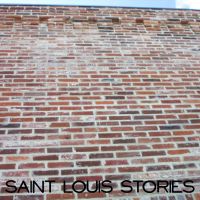 Saint Louis Stories cover