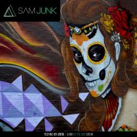 Sam Junk in the Mix cover