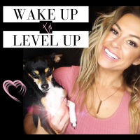 Wake Up to Level Up cover