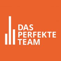 Das Perfekte Team cover