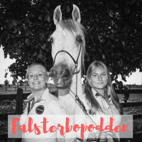 Falsterbopodden cover