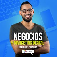 Negocios y Marketing Digital cover