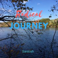 Radical Journey cover