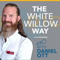 RADIOU Daniel Ott cover