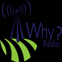WHY? - Philosophical Discussions About Everyday Life cover
