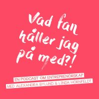 Vad fan håller jag på med? cover