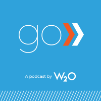 W2Ogo: Media, Strategy, and the Future of Digital Storytelling cover