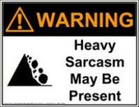 Flood of Sarcasm cover