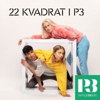 22 Kvadrat i P3 cover