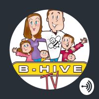 B-hive cover